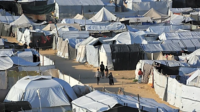 Ratas, pulgas y parásitos proliferan en los campos de desplazados de Gaza