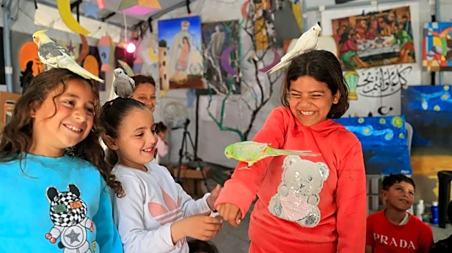 Niños de Gaza vuelven a sonreír gracias a la zooterapia