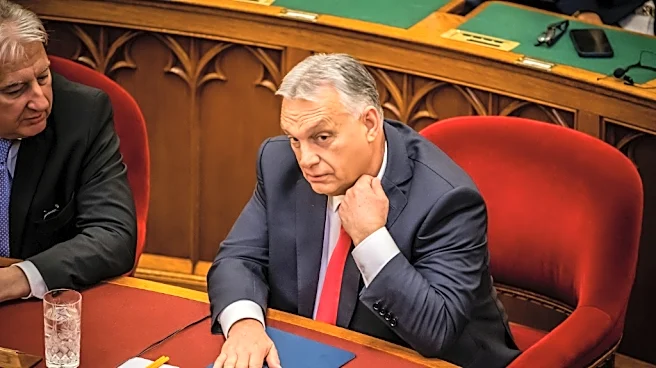 Orbán anuncia que no ocupará un escaño en el Parlamento de Hungría