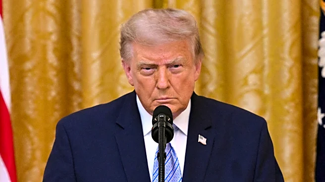 Vistazo a los documentos electorales dados a conocer por Trump