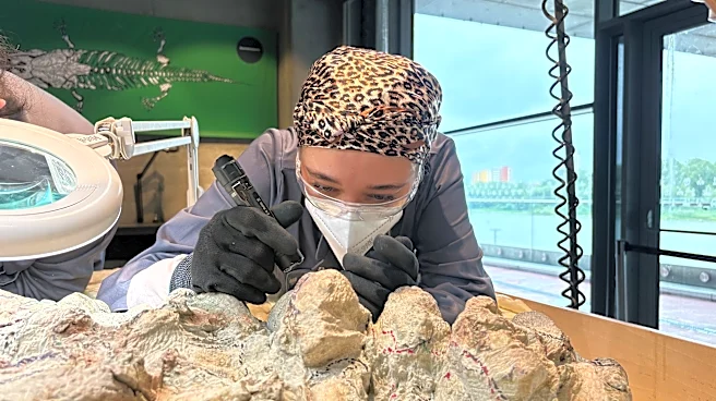 2.000 voluntarios participan restaurando el esqueleto de un enorme anfibio prehistórico