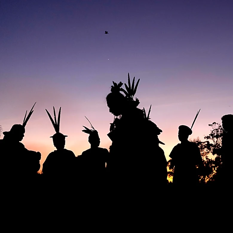 Un territorio indígena modelo en la Amazonía de Brasil pide protección contra delincuentes