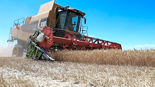 La compra por parte de Israel de cereales ucranianos "robados" no es "legítima", dice Zelenski