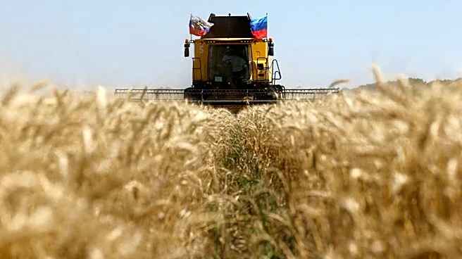 Ucrania pide a Israel que incaute un buque que dice que transporta cereales robados por Rusia