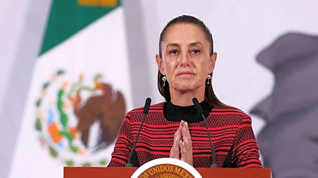 México anuncia acuerdo para que toda obra pública en el país use acero de empresas nacionales