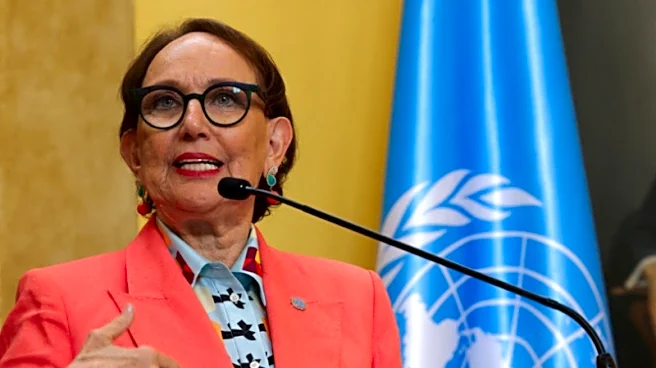 Candidata a la ONU Grynspan afirma que el organismo internacional debe hacer "menos con menos"
