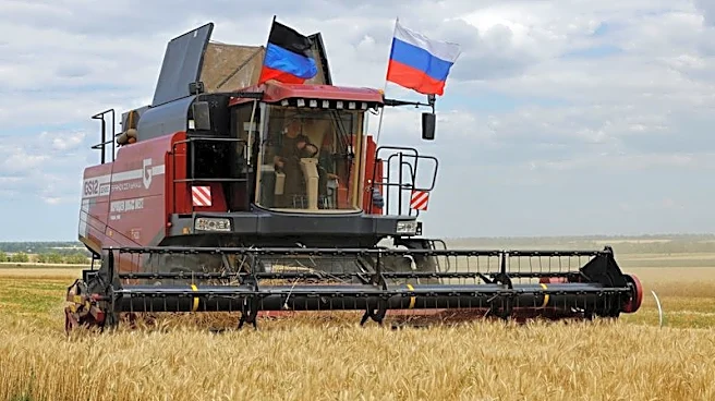 Buque que transporta grano que Ucrania sostiene que fue robado por Rusia no descargará en Israel, dice Kiev