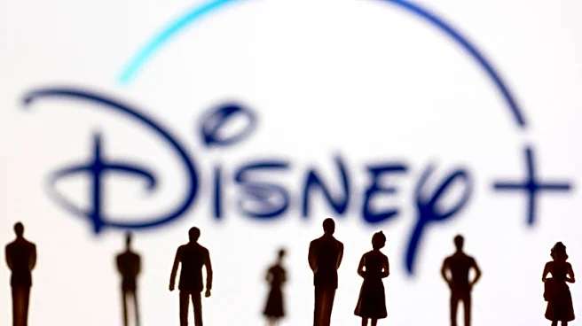 Presidente de la FCC dice que la Casa Blanca no le presionó para iniciar investigación sobre Disney