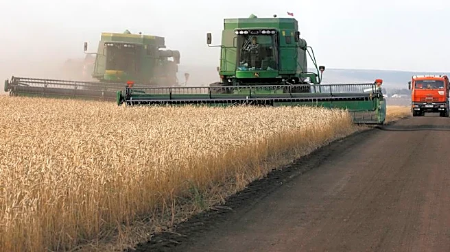Rusia dice que cosecha presenta buen potencial, agricultores recibirán el combustible que necesitan