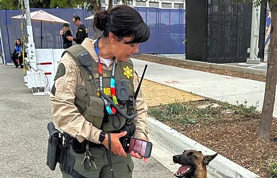 Perros de trabajo del Mundial detectan amenazas y envían señales de seguridad