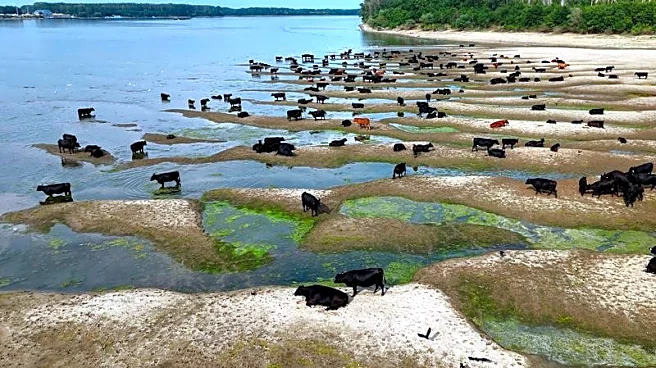 Los niveles del Danubio alcanzan su mínimo en 30 años, lo que dificulta la agricultura y la navegación