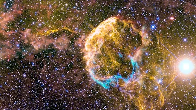 Científicos detectan indicios de dos enormes estrellas compañeras que explotaron