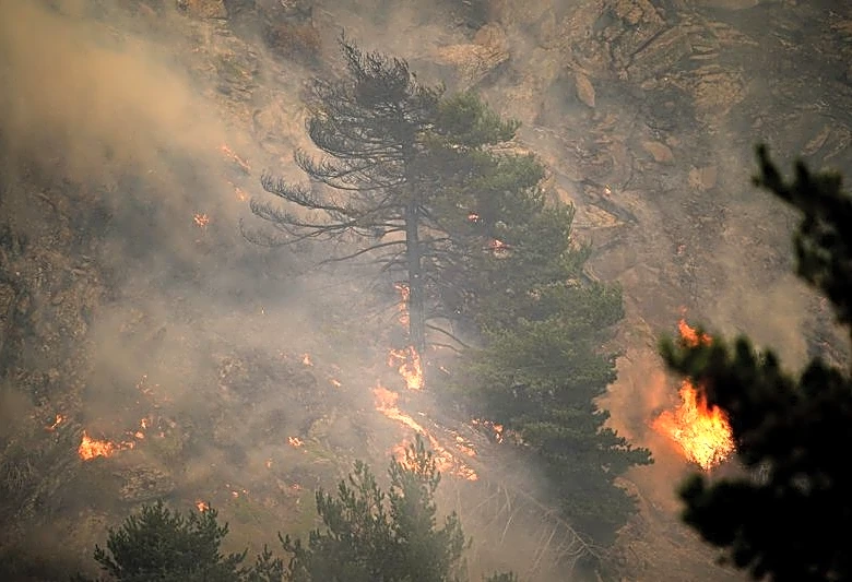 España y Francia luchan contra los incendios mientras la ola de calor azota el sur de Europa