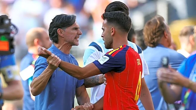 "Ratón" Ayala pide disculpas por incidente con Dani Olmo tras la final del Mundial