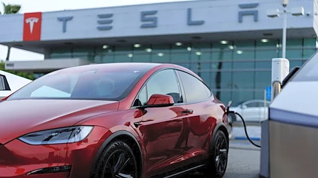 Tesla, de Elon Musk,  reporta flujo de caja libre negativo por aumento de inversión en IA y robotaxis
