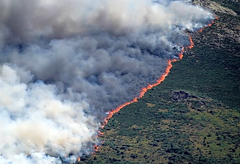 España declara el estado de emergencia nacional por los incendios cerca de Madrid y en Ávila
