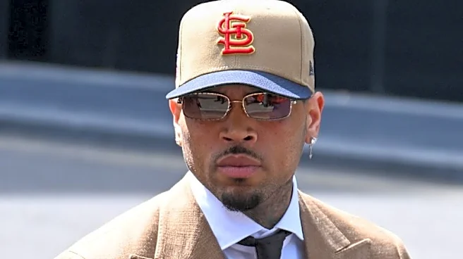 El cantante Chris Brown se declara culpable de alteración del orden público