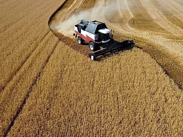 Exportaciones marítimas de cereales de Rusia se duplicaron en junio, muestran datos