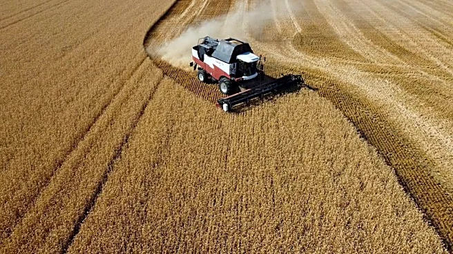 Exportaciones marítimas de cereales de Rusia se duplicaron en junio, muestran datos