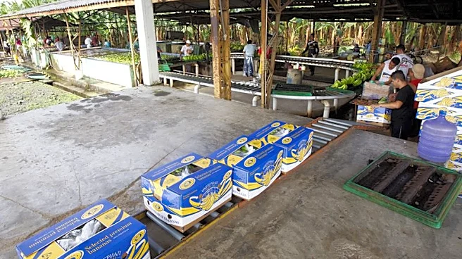 Ecuador firma un TLC con Canadá que permitirá exportar 99,6% de sus productos libres de arancel: ministerio