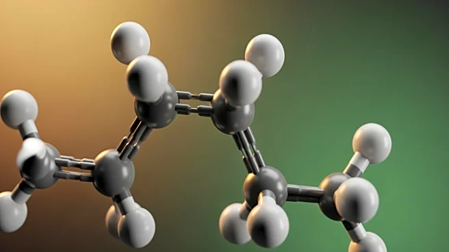 Ácidos grasos insaturados: la química detrás de las grasas saludables