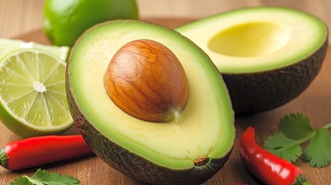 El viaje del guacamole: de Mesoamérica al mundo