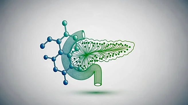Diabetes tipo 2: por qué se ha vuelto una epidemia global