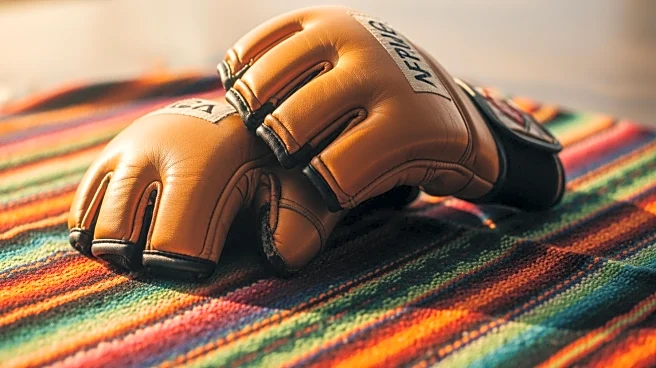 De UFC a campeones: cómo crecieron las MMA en México