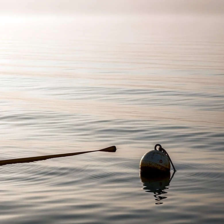 Natación en aguas abiertas: cómo evolucionó este deporte extremo
