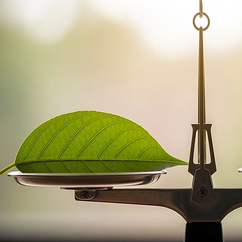 Sostenibilidad: cómo se mide y por qué es tan complejo