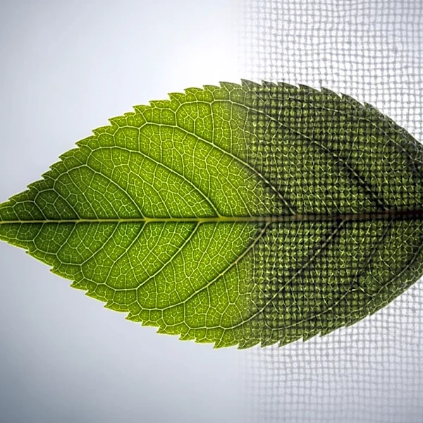 ¿Algodón orgánico o poliéster reciclado? La razón urgente por la que tu ropa necesita certificaciones hoy