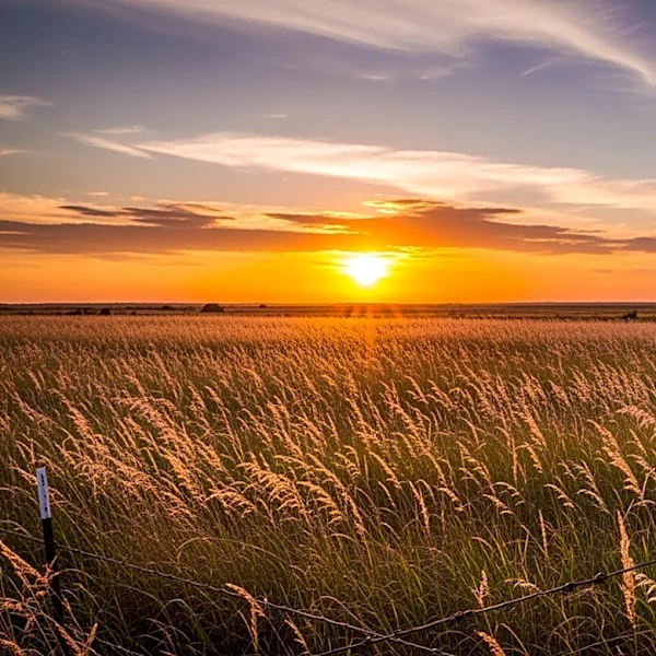 La siesta de San Jacinto: la batalla que cambió la historia de Texas