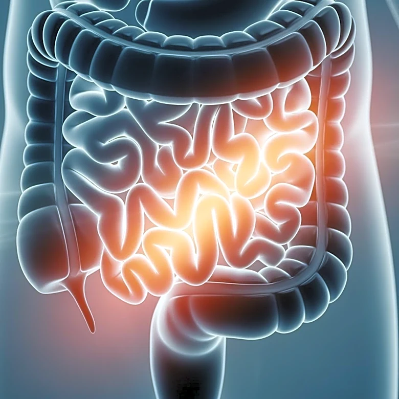 Hemorragia digestiva baja: causas, síntomas y tratamientos clave