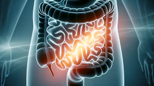 Hemorragia digestiva baja: causas, síntomas y tratamientos clave