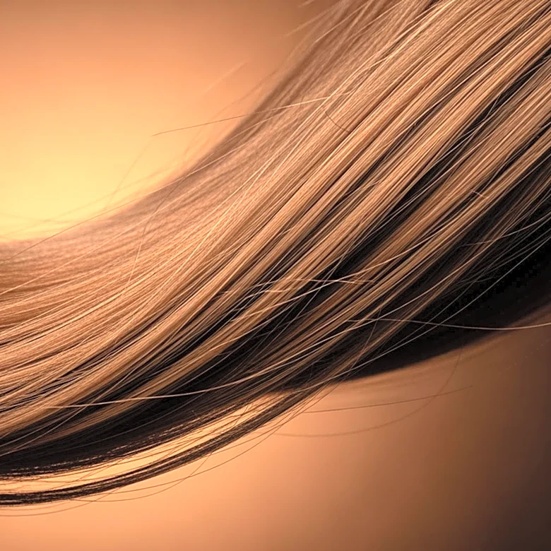 Cabello castaño: por qué es uno de los colores más comunes y versátiles