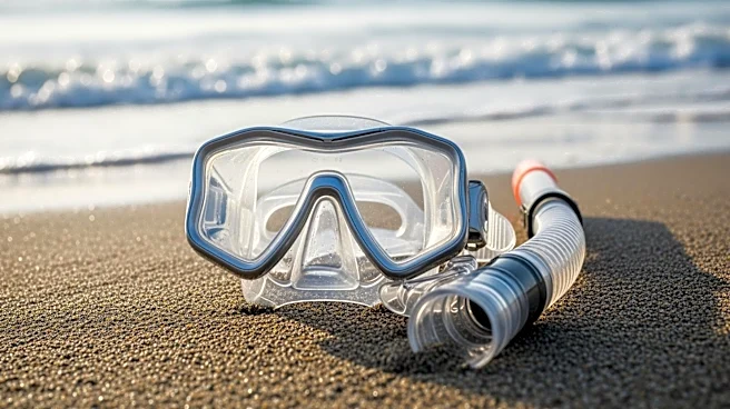 Snorkel: de herramienta militar a actividad turística global