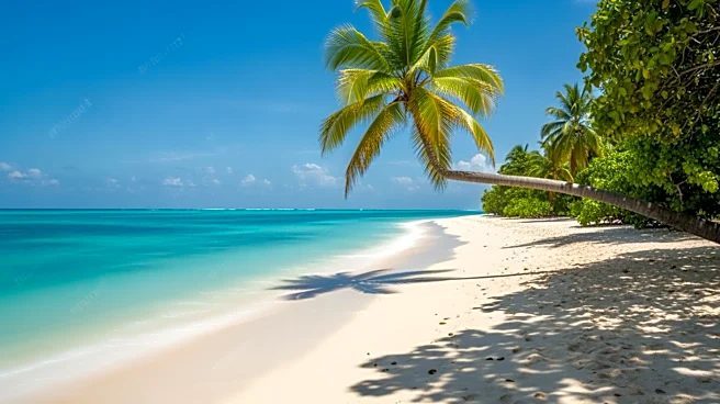 La Geografía de Aruba: Un Paraíso de Playas Blancas