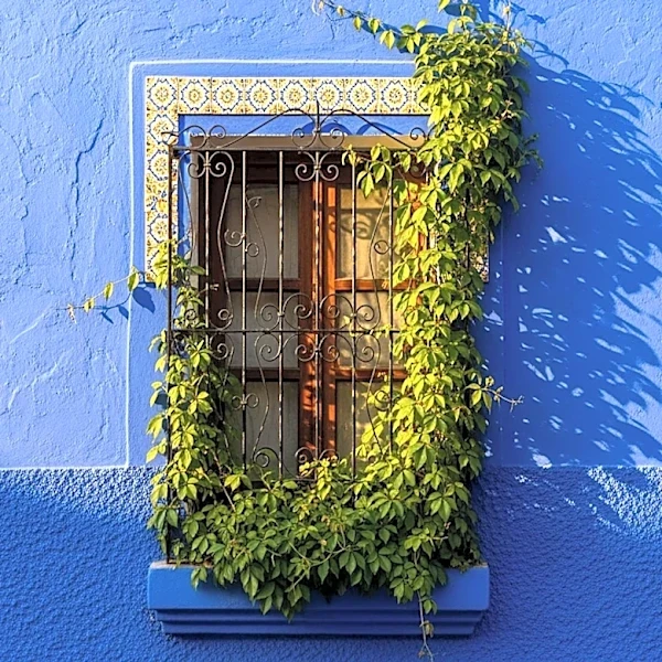 La Casa Azul: el hogar de Frida Kahlo convertido en museo icónico