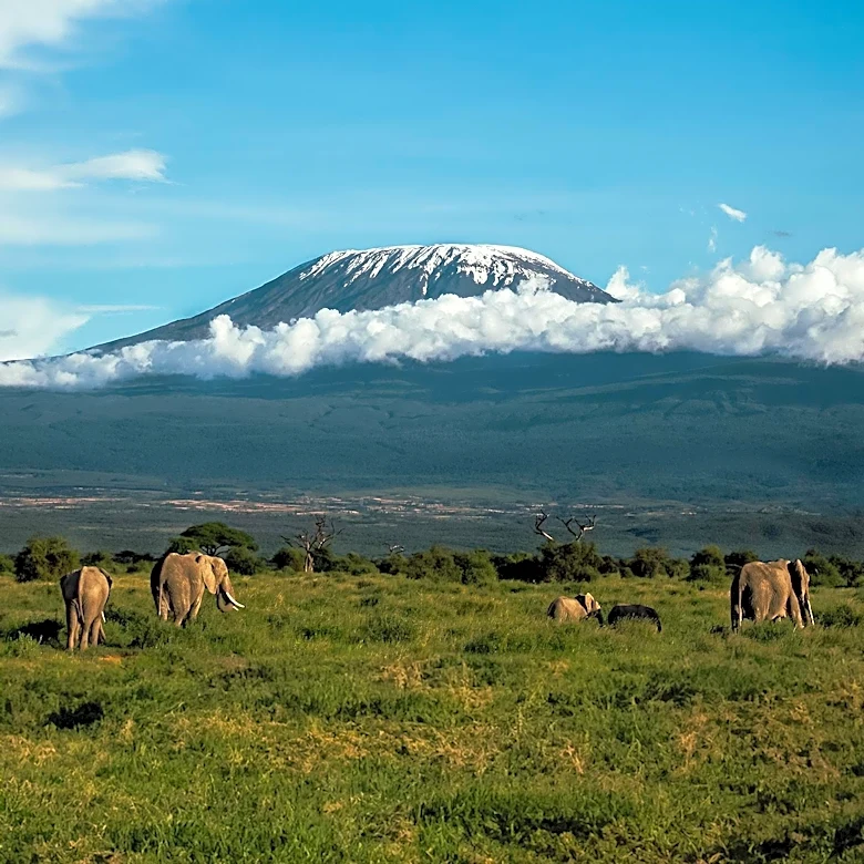 Parques y vida salvaje: la rica biodiversidad de Tanzania