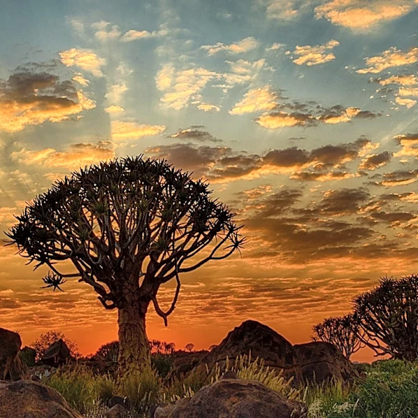 Microclimas y contraste: así cambia el clima en Sudáfrica