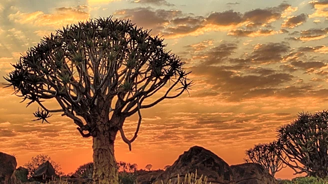 Microclimas y contraste: así cambia el clima en Sudáfrica