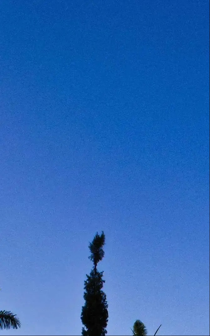 Emily Powell Transforms Devon Home into Immersive Art Experience