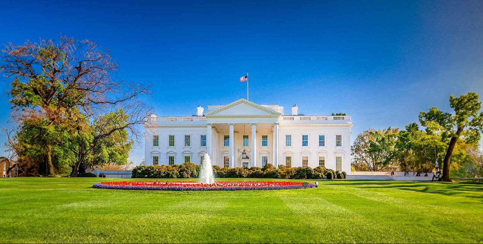 VIDEO | Trump says US will 'have' Greenland 'one way or the other'