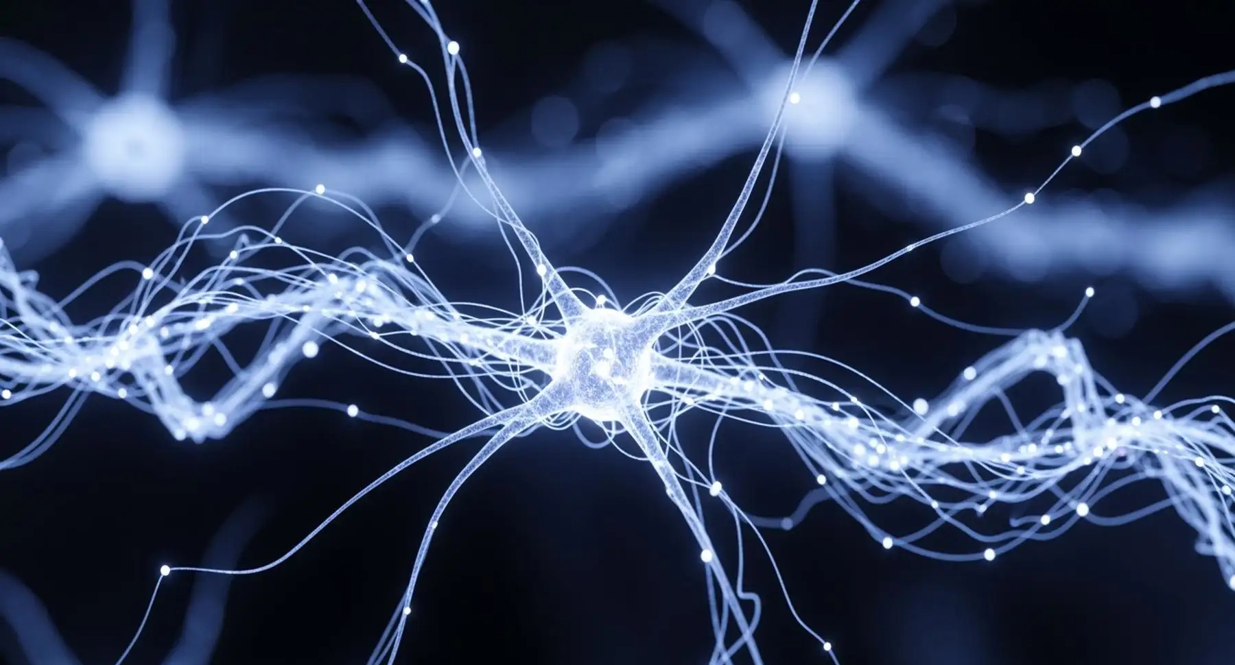 When Stress Becomes Harmful: How HPA Axis Dysregulation Affects Physical and Mental Health