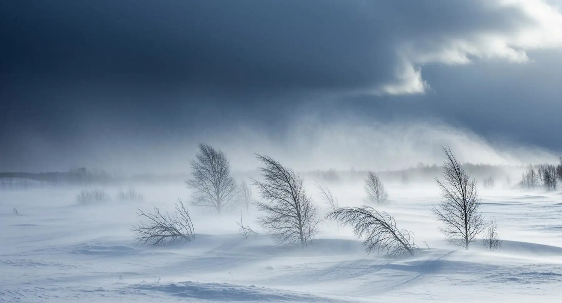 VIDEO | 'Bomb cyclone' hits northern U.S., causing treacherous travel