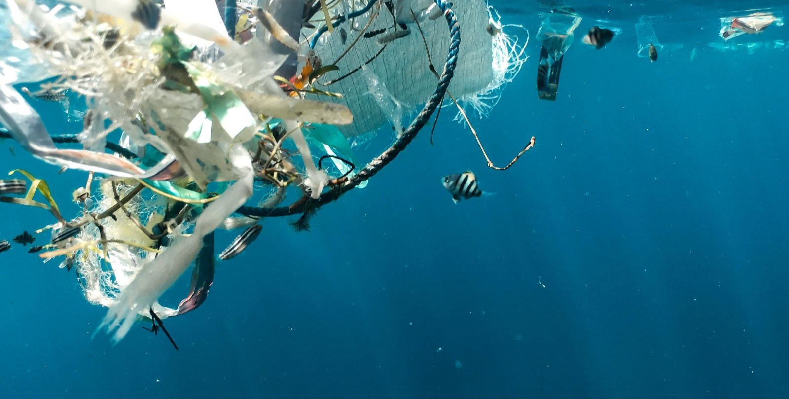 VIDEO | Cleaning up Malawi's UNESCO Heritage Site lake