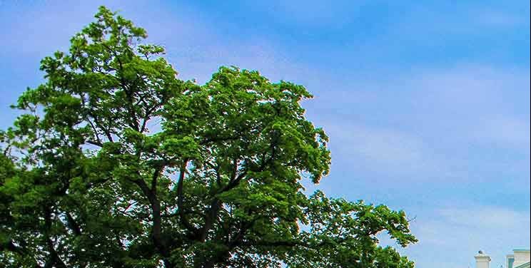 The debate that never ends: Washington's constant health care fight