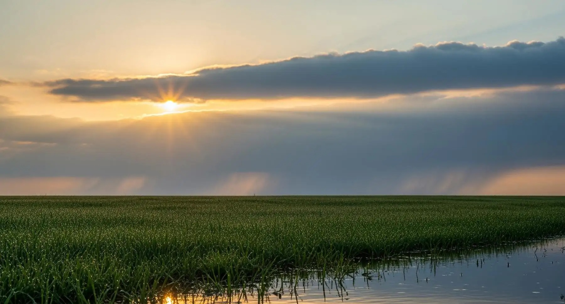 Maryland to Experience Warmer Weather Followed by Widespread Rain