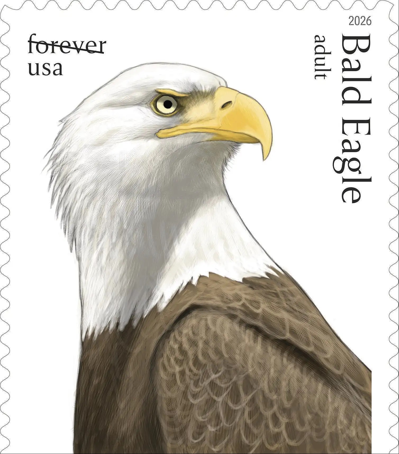 Postal Service releases special edition bald eagle stamps for America's 250th