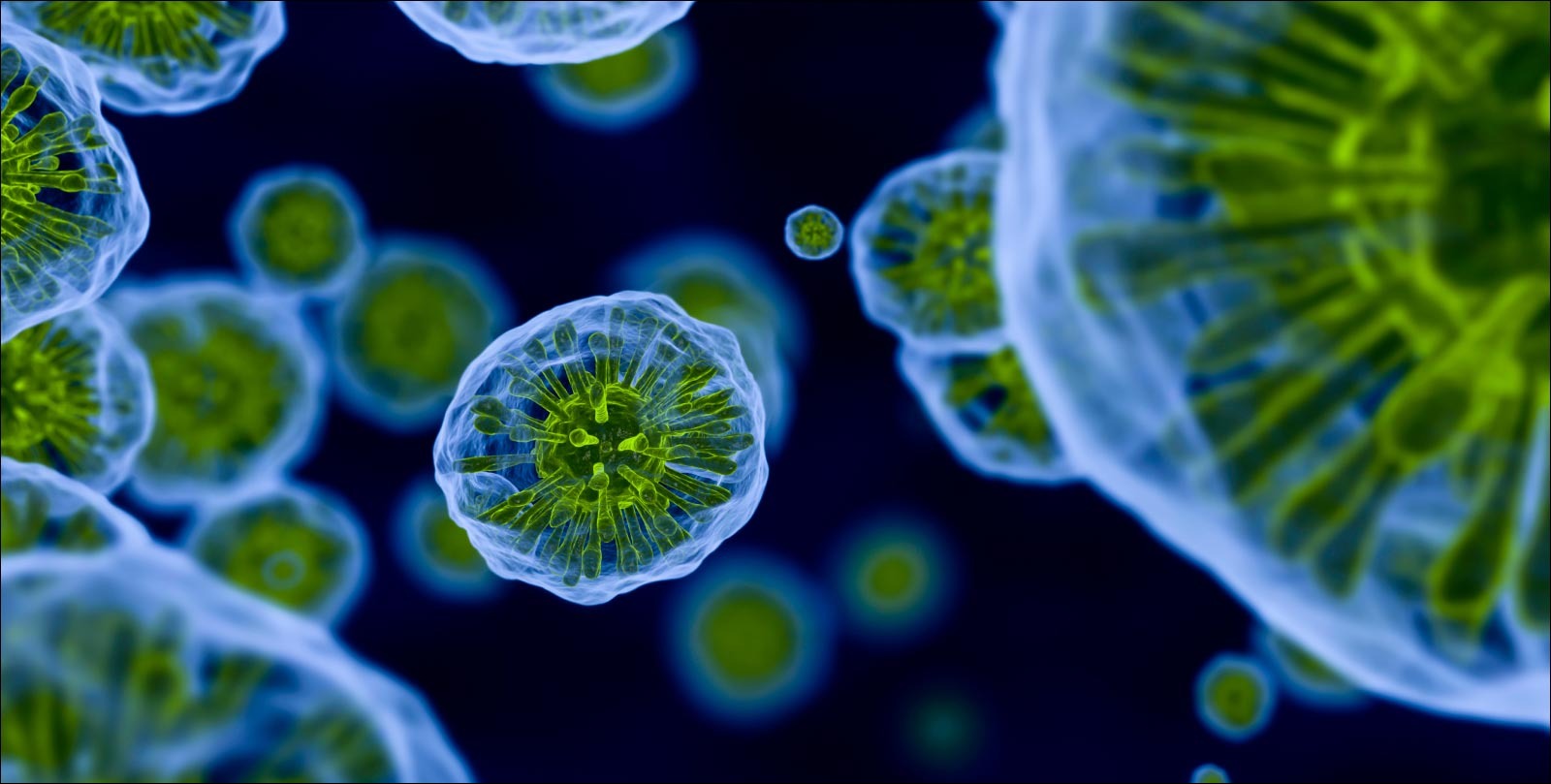 South Carolina measles outbreak surpasses Texas' 2025 total, with little sign of slowing